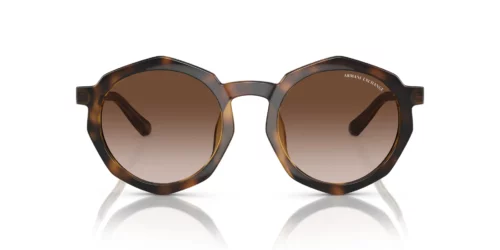 821313 - Shiny Havana frame / Gradient Brown lenses