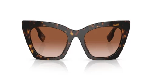 300213 - Mörk Havana-båge / Bruna tonade linser