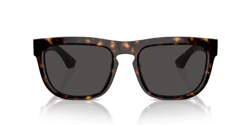 300287 - Dark Havana frame / DARK GREY lenses