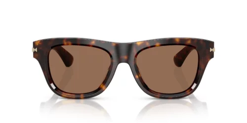 300273 - Dark Havana frame / Dark Brown lenses