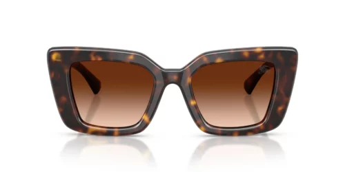 300274 - Dark Havana frame / Brown Gradient lenses