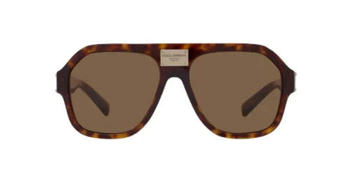 502/73 - Havana frame / Dark Brown lenses