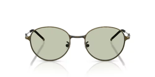 1029/2 - Brushed Light Grey Green frame / Light Green lenses