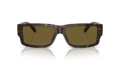 713/73 - Shiny Dark Havana frame / Solid Brown lenses