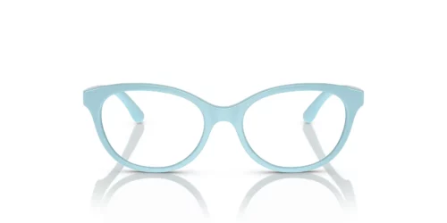 3134 - Monture azur / Verres transparents