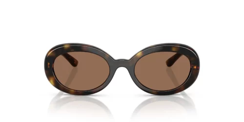502/73 - Havana frame / Dark Brown lenses