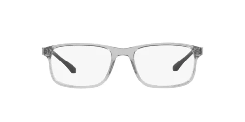5029 - Transparent Grey frame / Clear lenses