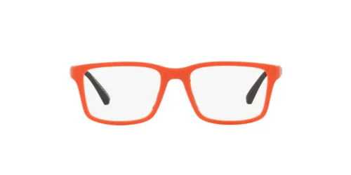 Emporio Armani EA-3203 Laranja Fosco