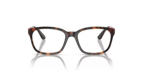 5026 - Shiny Havana frame / Clear lenses