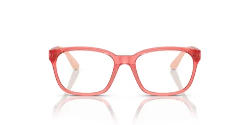 5377 - Shiny Transparent Coral frame / Clear lenses