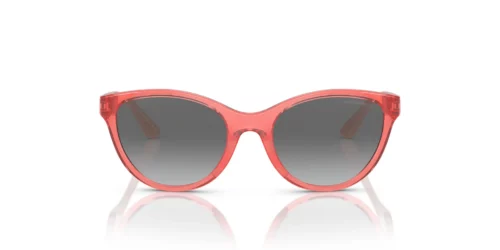 537711 - Shiny Transparent Coral frame / Gradient Grey lenses