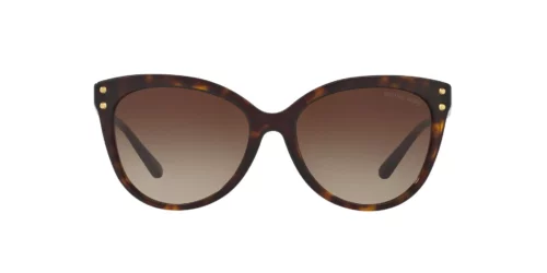 300613 - Dark Tortoise frame / Brown Gradient lenses