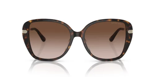 300613 - Dark Tortoise frame / Brown Gradient lenses