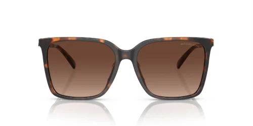 3006T5 - Dark Tortoise frame / Brown Gradient Polar lenses
