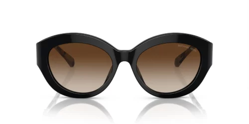 300513 - Black frame / Brown Gradient lenses