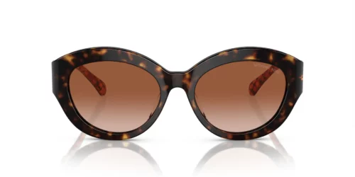 300613 - Dark Tortoise frame / Brown Gradient lenses