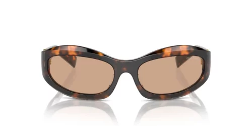 Miu Miu  MU14ZS Dark Brown
