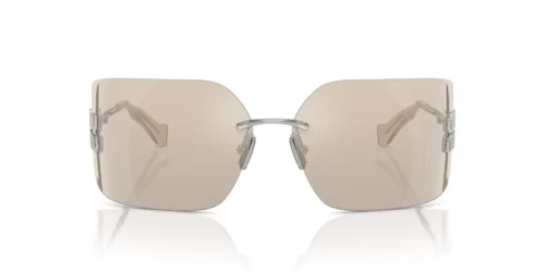 1BC10F - Zilverkleurig frame