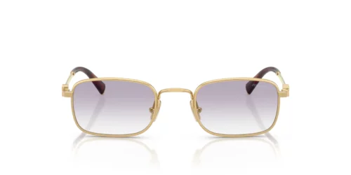 5AK04O - Gold frame / Clear Gradient Dark Grey lenses