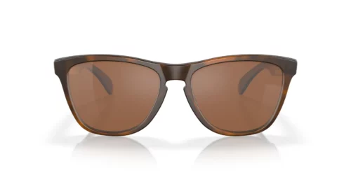 9013C5 - Mat skildpaddefarvet stel / Prizm Tungsten-linser