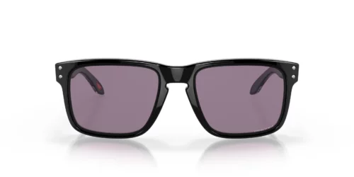 9102U6 - Polished Black frame / Prizm Grey lenses
