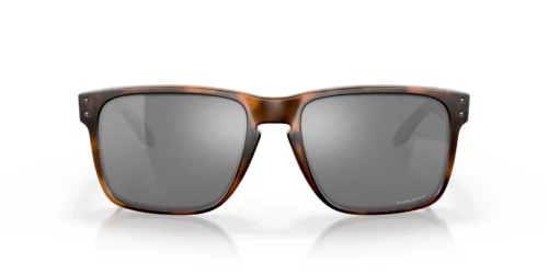 941702 - Matbrunt skildpaddebrillestel / Prizm Black-glas