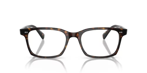 1009 - Armação 362 / Lentes transparentes