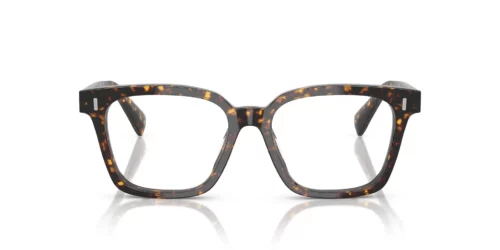 1741 - Atago Tortoise frame / Clear lenses