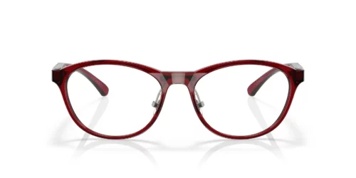 805703 - Polished Transparent Brick Red frame / Clear lenses