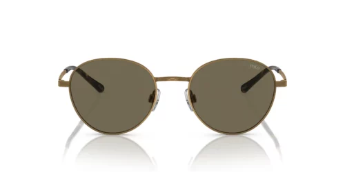 9324/3 - Semi-Shiny Brass frame / Brown lenses