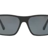 Polo Ralph Lauren  PH4133 Polarized Grey