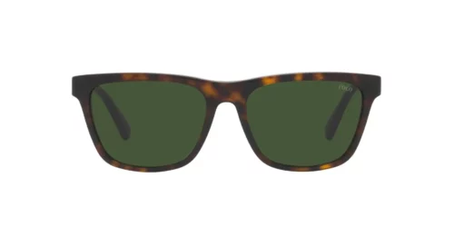 500371 - Shiny Dark Havana Wimbledon frame / DARK GREEN lenses