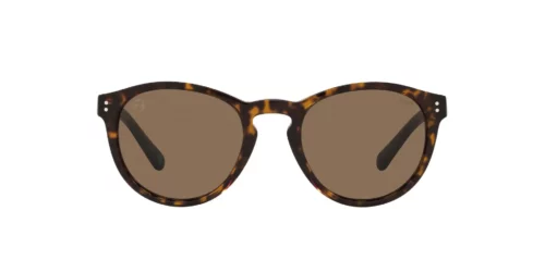 595473 - Shiny Dark Havana frame / Brown lenses