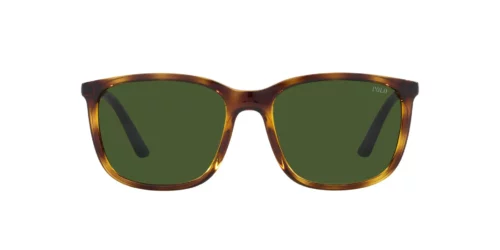 500371 - Shiny Havana frame / DARK GREEN lenses