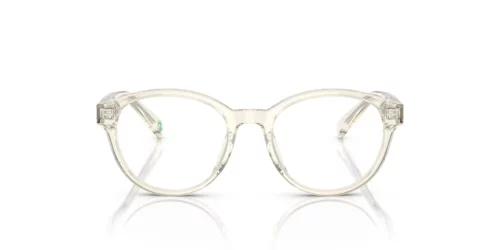 5034 - Shiny Transp. Pinot Grey frame / Clear lenses
