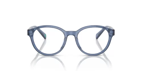 6092 - Shiny Transparent Blue frame / Clear lenses