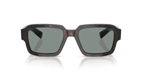 17N20N - Root Tortoise frame / Blue lenses