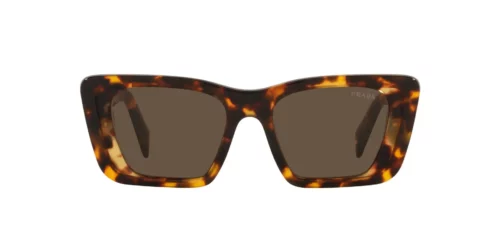 01V8C1 - Havana Honey frame / Dark Brown lenses