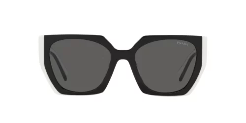 09Q5S0 - Monture noire/talc / Verres gris foncé