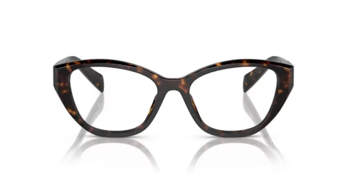 19J1O1 - Tortoise frame / Clear lenses