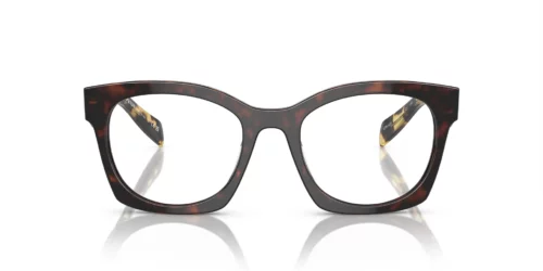 17N1O1 - Havana frame / Clear lenses