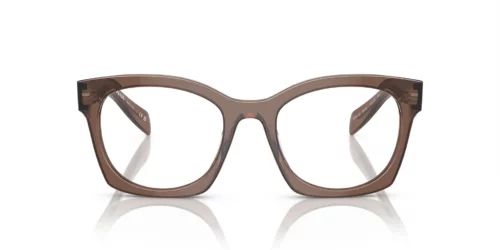 17O1O1 - Transparent Brown frame / Clear lenses