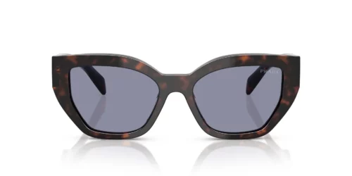 Prada  PRA09S Grey