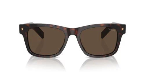 17N70F - Radica Tortoise frame / Dark Brown lenses