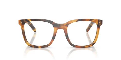 29C1O1 - Cinnamon Tortoise frame / Clear lenses