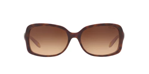 159613 - Dark Havana frame / Gradient Brown lenses