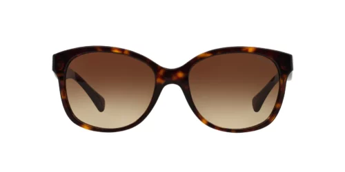 137813 - Dark Havana frame / Gradient Brown lenses