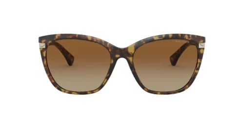5836T5 - Shiny Sponged Havana frame / Polar Gradient Brown lenses