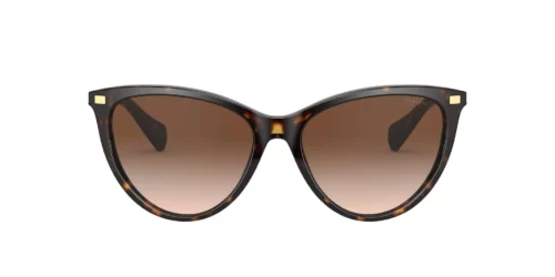 500313 - Shiny Dark Havana frame / Gradient Brown lenses