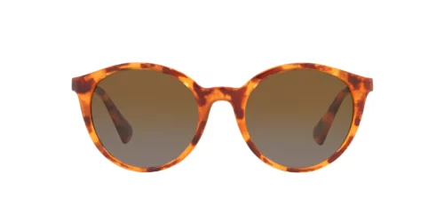 5885T5 - Shiny Sponged Brown Havana frame / Polar Brown Gradient lenses